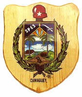 Wood Coat Of Arm Camaguey