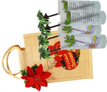 Mojito glasses with stirrers. Set of 4