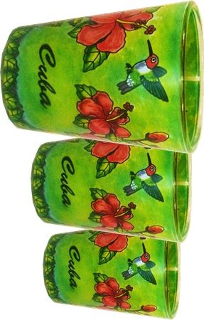 Tropical  Cuba shot glass. Hummingbird design