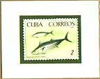 Print Of Cuban Postage Stamps