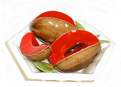 Tropical Mamey Fruit Plate By Bernardo