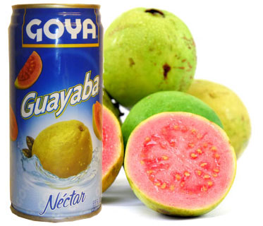 Goya Guava Nectar 9.6 oz