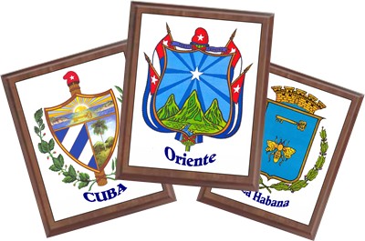 Coat of Arms wall plaque 9 x 7
