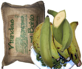 Plantains, green and  fresh.  Platanos verdes.  6 plantains per order.
